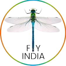 flyindiadrone